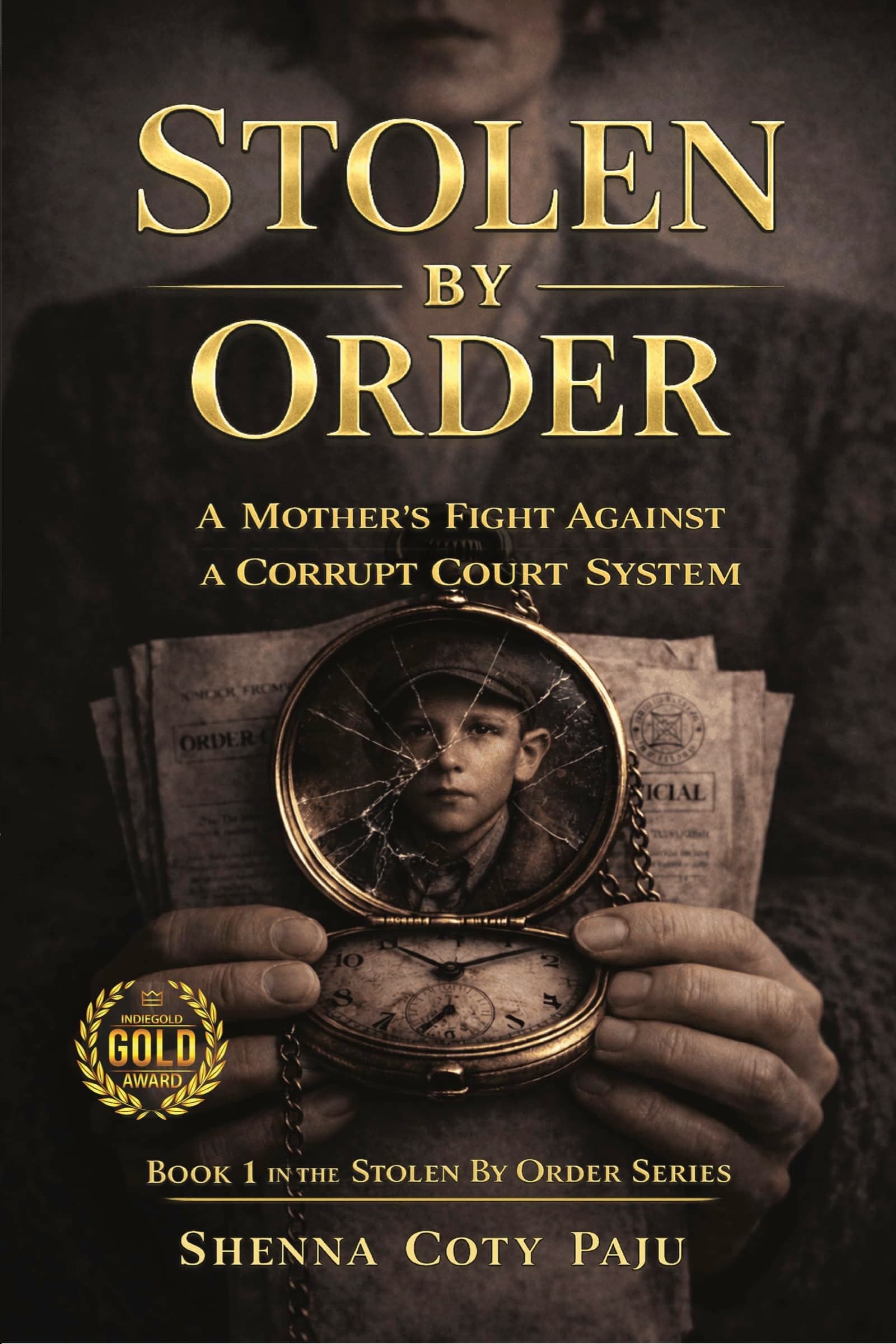 Stolen By Order: A Mother's Fight Against a Corrupt Court System